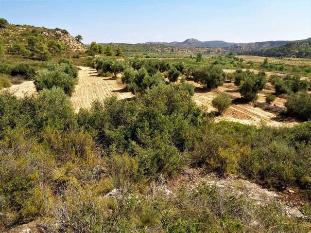 Finca/Herregård til salgs i Batea - € 39 000 (Ref: 9740080)