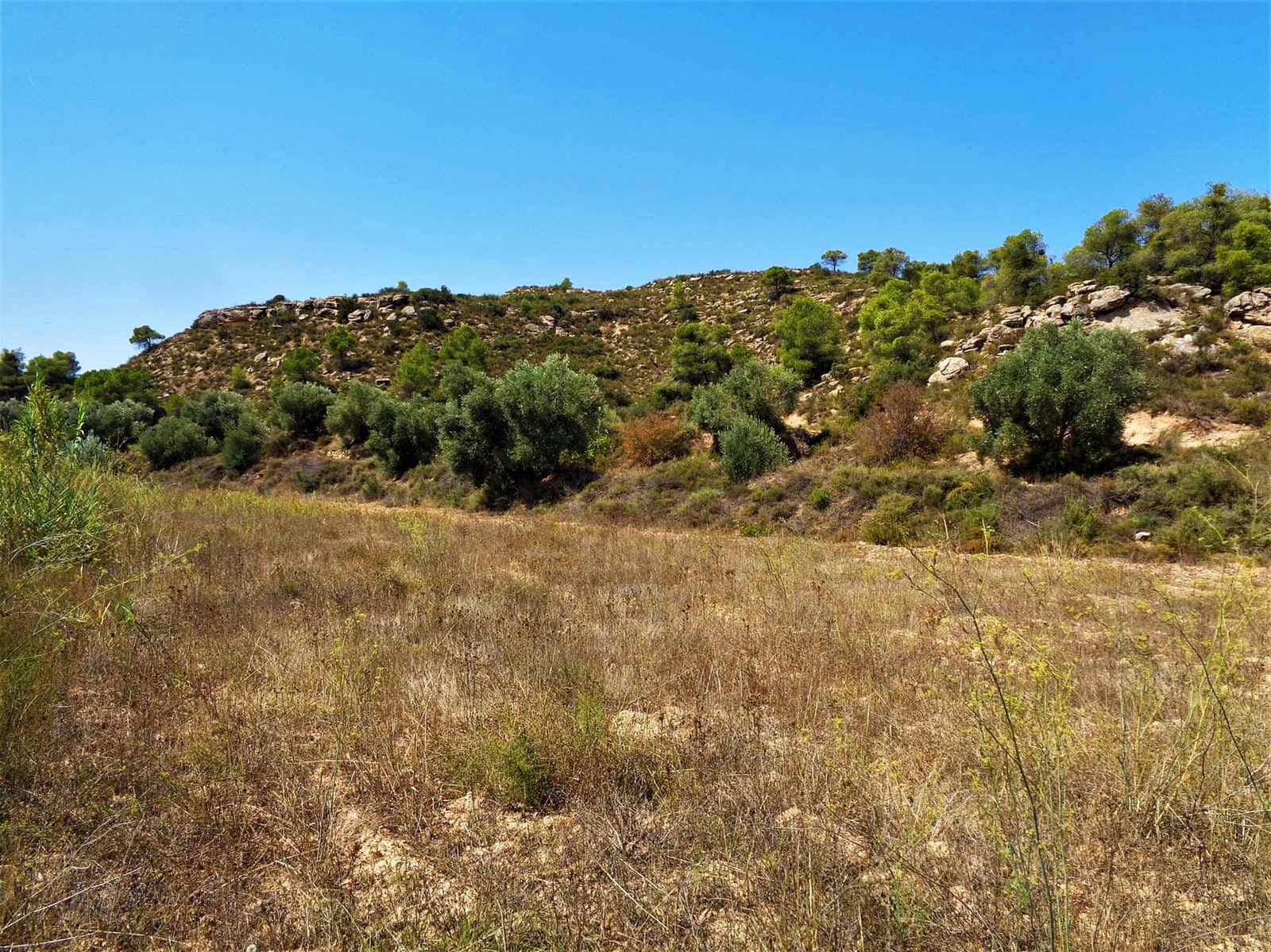 Finca/Country House for sale in Batea - € 39,000 (Ref: 9740080)