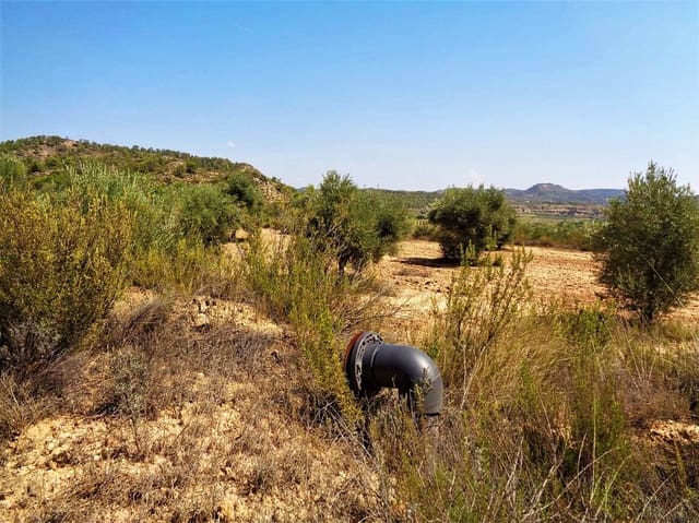 Finca/Herregård til salgs i Batea - € 39 000 (Ref: 9740080)