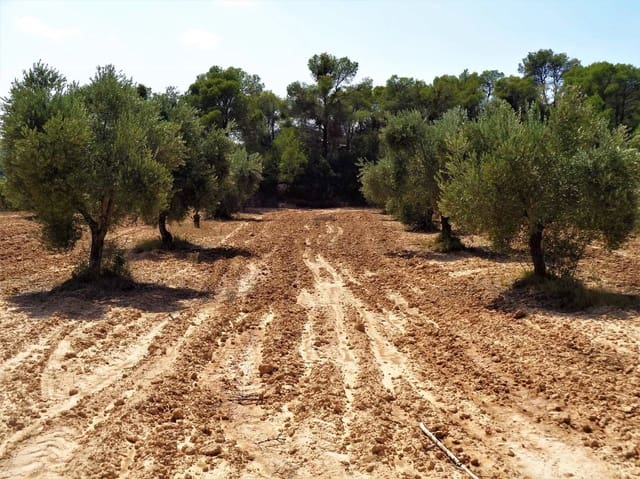 Finca/Herregård til salgs i Batea - € 39 000 (Ref: 9740080)