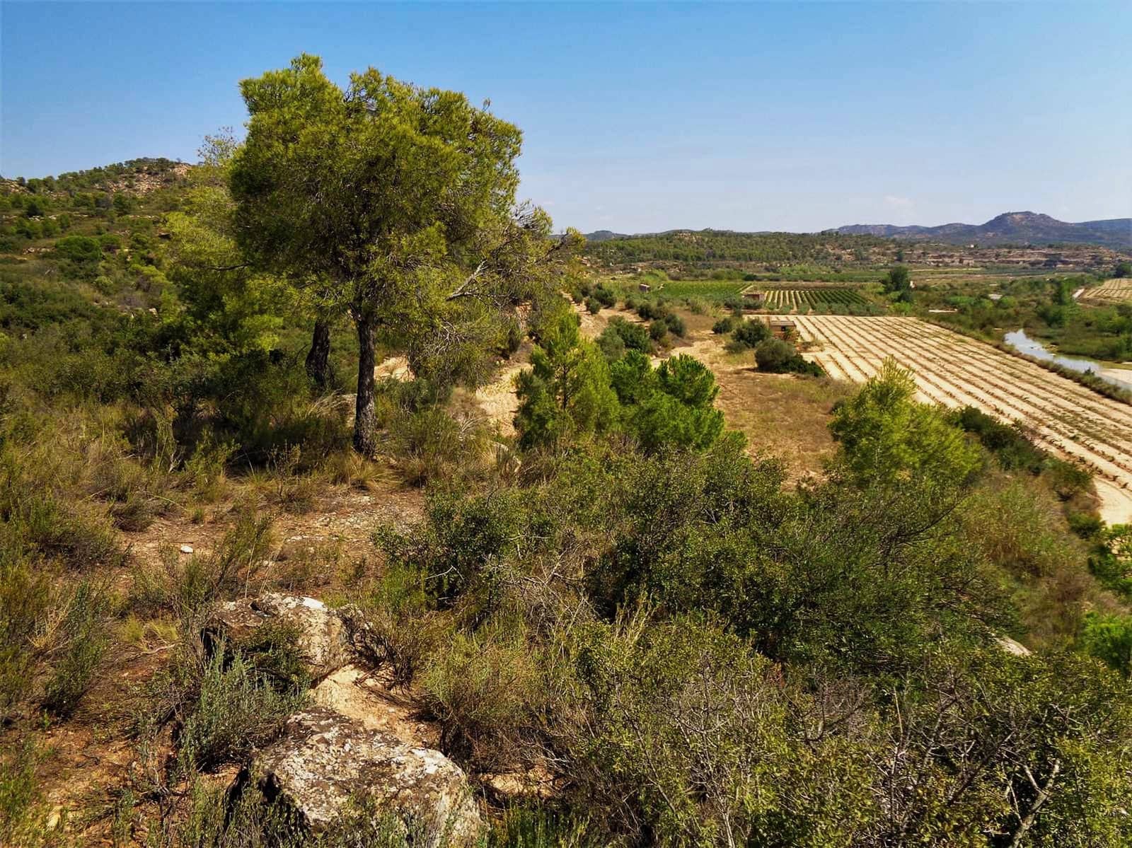 Finca/Country House for sale in Batea - € 39,000 (Ref: 9740080)