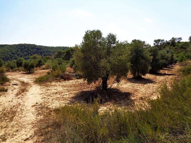Finca/Herregård til salgs i Batea - € 39 000 (Ref: 9740080)