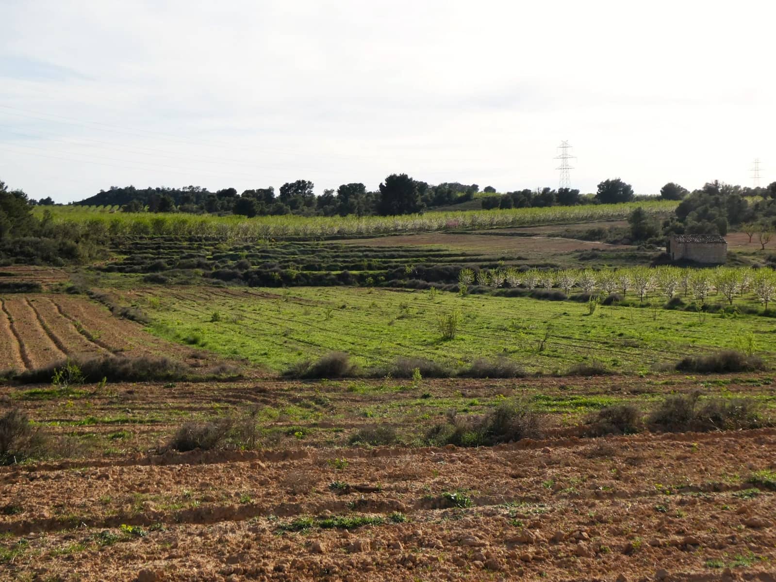 Finca/Country House for sale in Mequinenza - € 39,000 (Ref: 9761563)