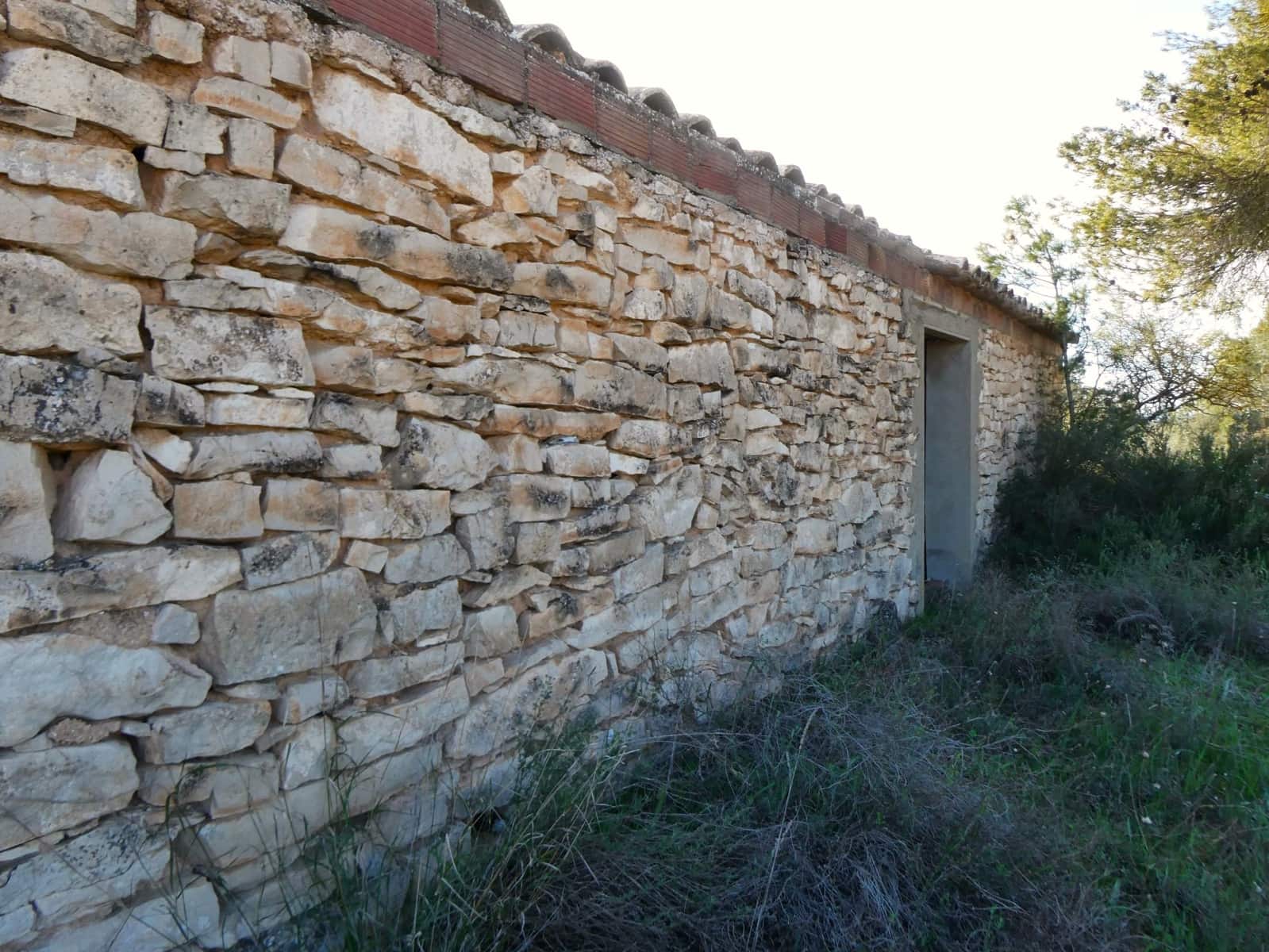 Finca/Country House for sale in Mequinenza - € 39,000 (Ref: 9761563)