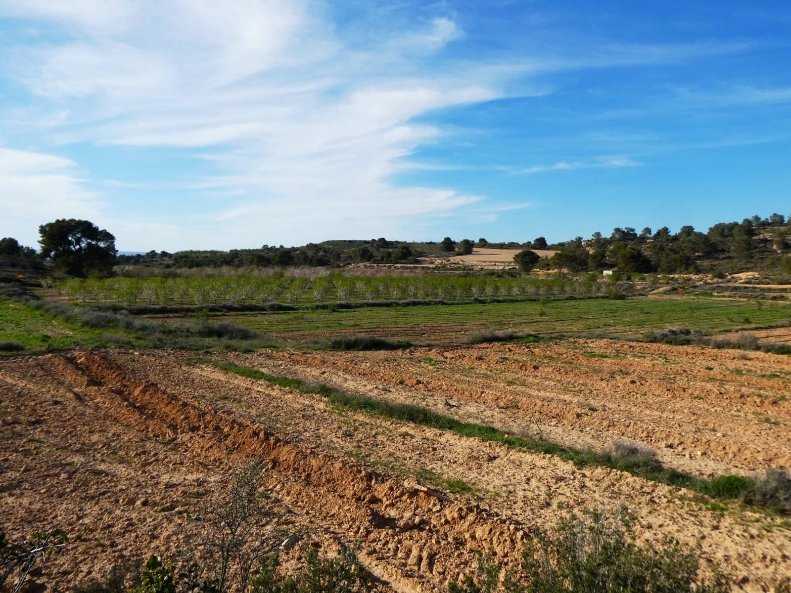 Finca/Country House for sale in Mequinenza - € 39,000 (Ref: 9761563)