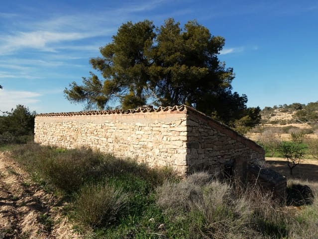 Finca/Casa Rural en Mequinenza en venta - 39.000 € (Ref: 9761563)