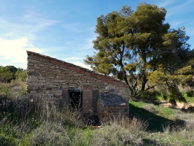 Finca/Casa Rural en Mequinenza en venta - 39.000 € (Ref: 9761563)
