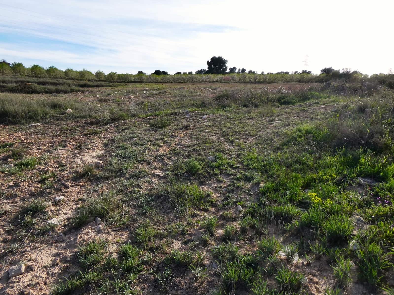 Finca/Country House for sale in Mequinenza - € 39,000 (Ref: 9761563)