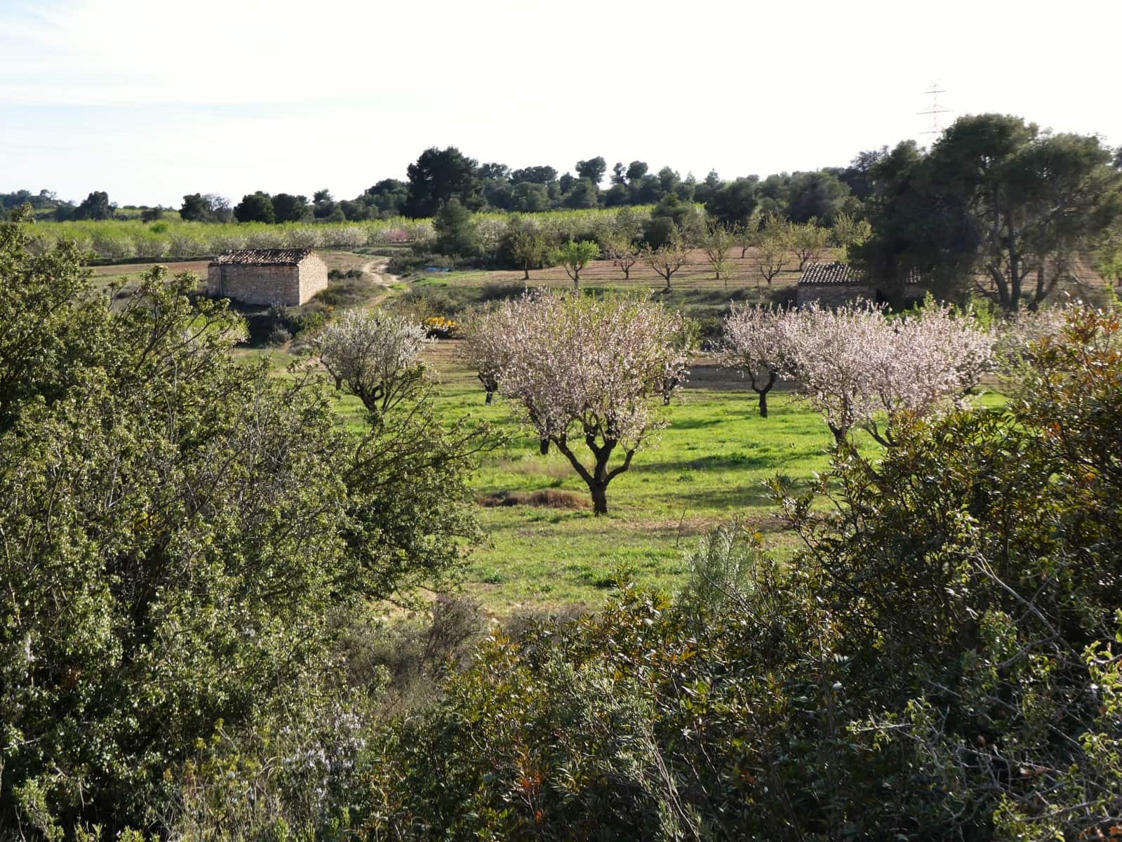 Finca/Country House for sale in Mequinenza - € 39,000 (Ref: 9761563)