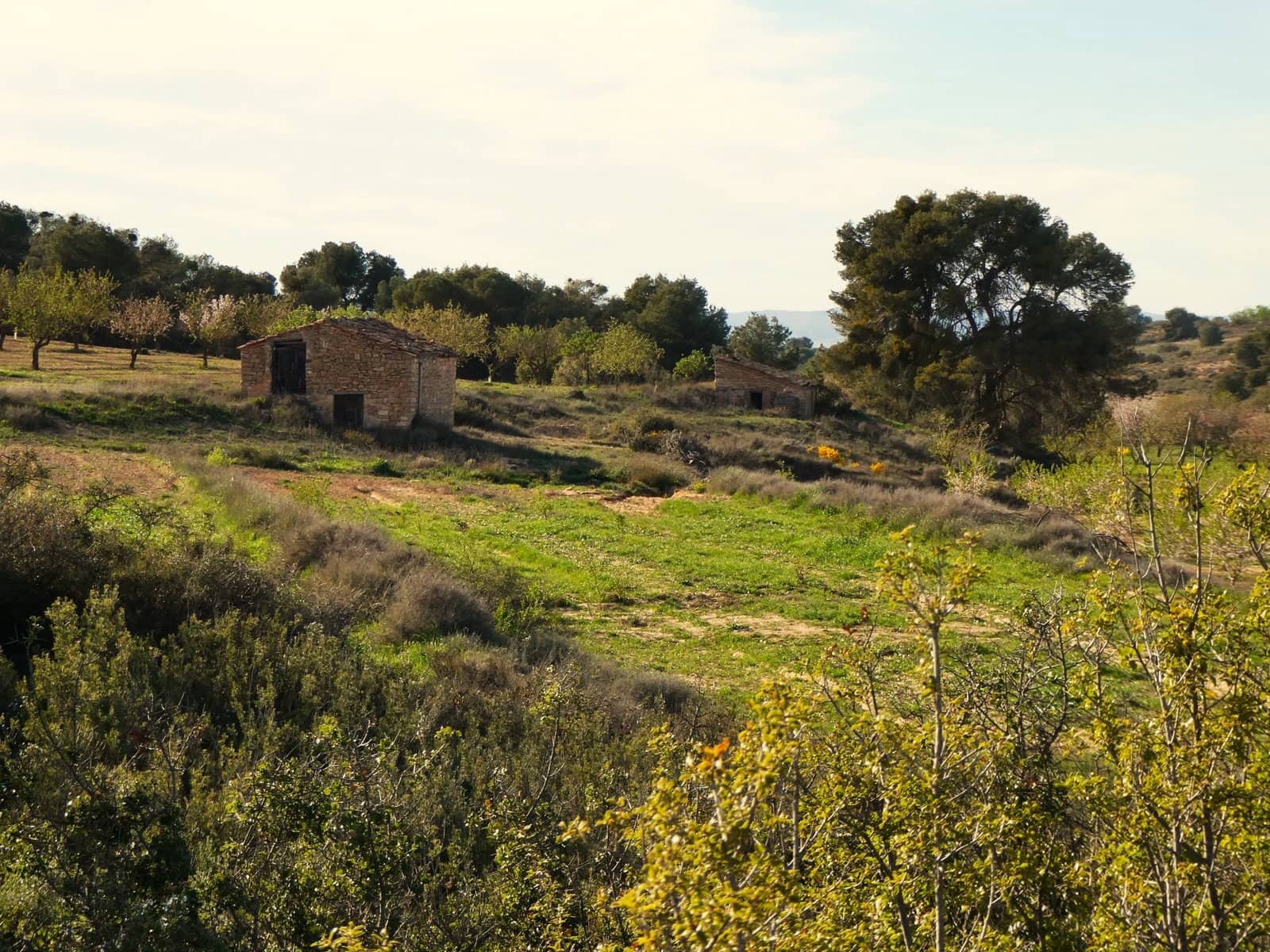 Finca/Herregård til salgs i Mequinenza - € 36 000 (Ref: 9761563)