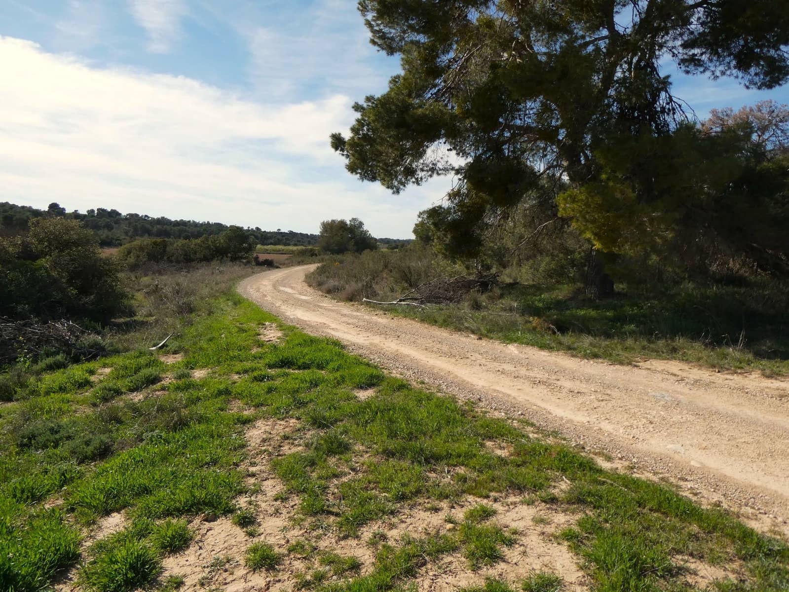 Finca/Herregård til salgs i Mequinenza - € 36 000 (Ref: 9761563)