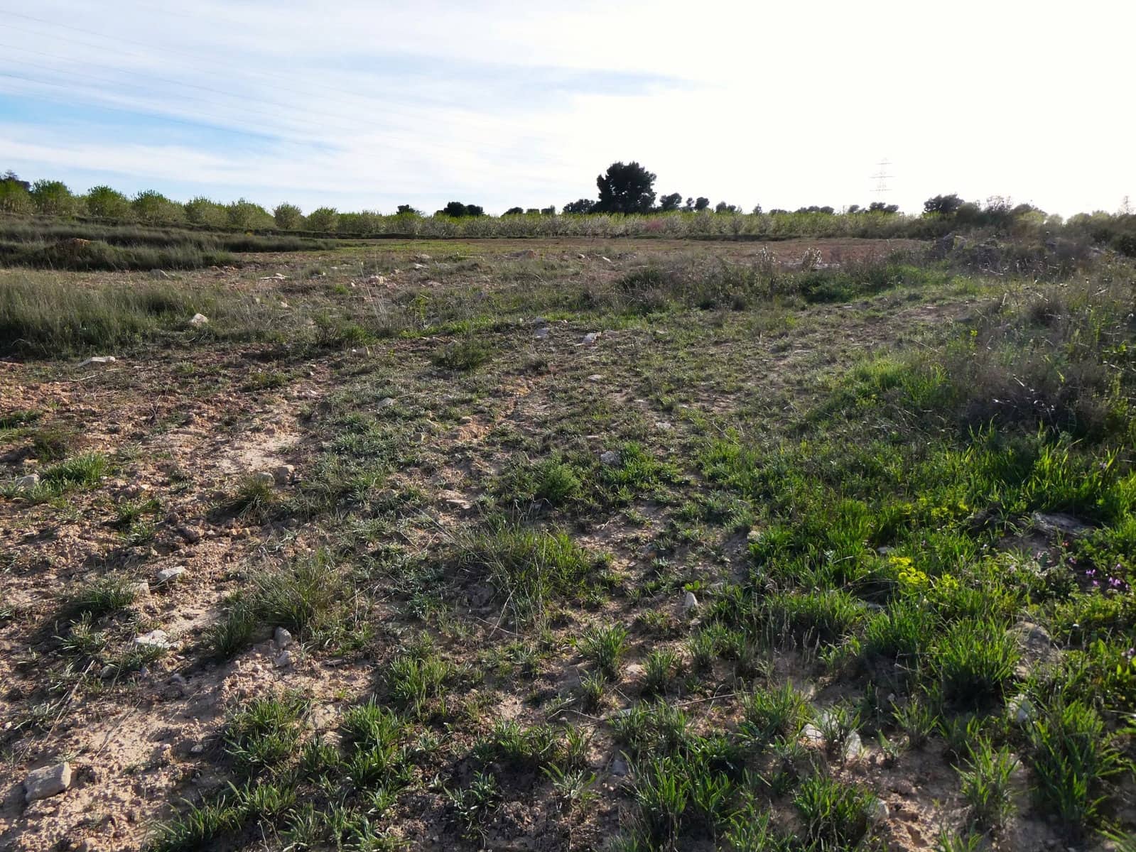 Finca/Herregård til salgs i Mequinenza - € 36 000 (Ref: 9761563)
