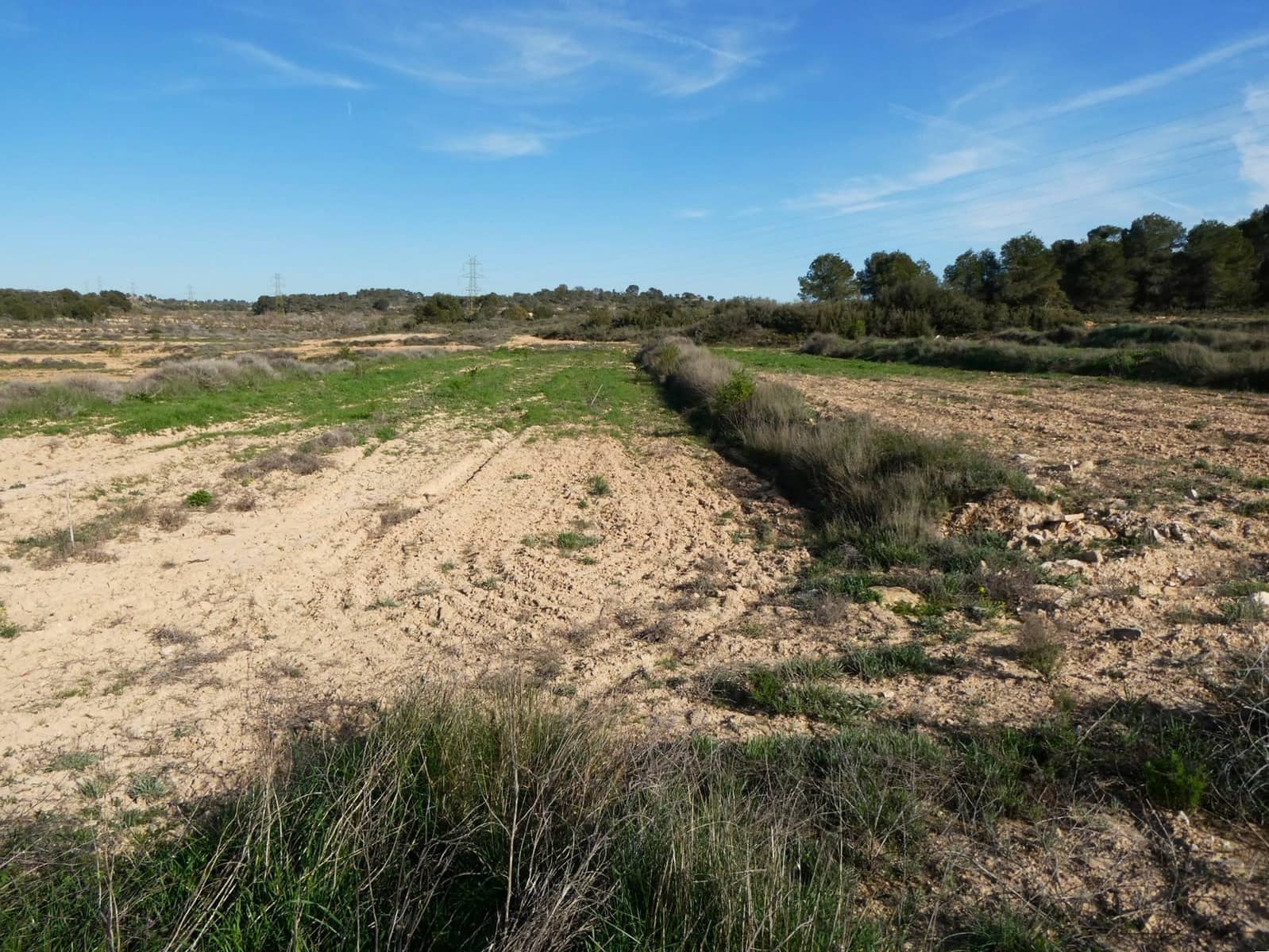 Finca/Herregård til salgs i Mequinenza - € 36 000 (Ref: 9761563)