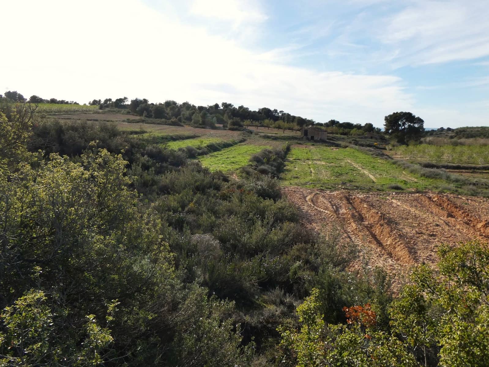 Finca/Herregård til salgs i Mequinenza - € 36 000 (Ref: 9761563)