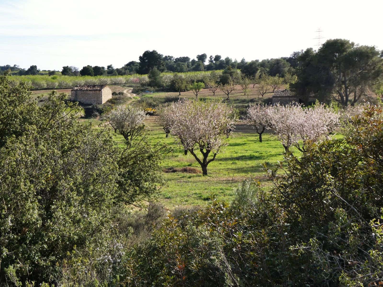 Finca/Herregård til salgs i Mequinenza - € 36 000 (Ref: 9761563)