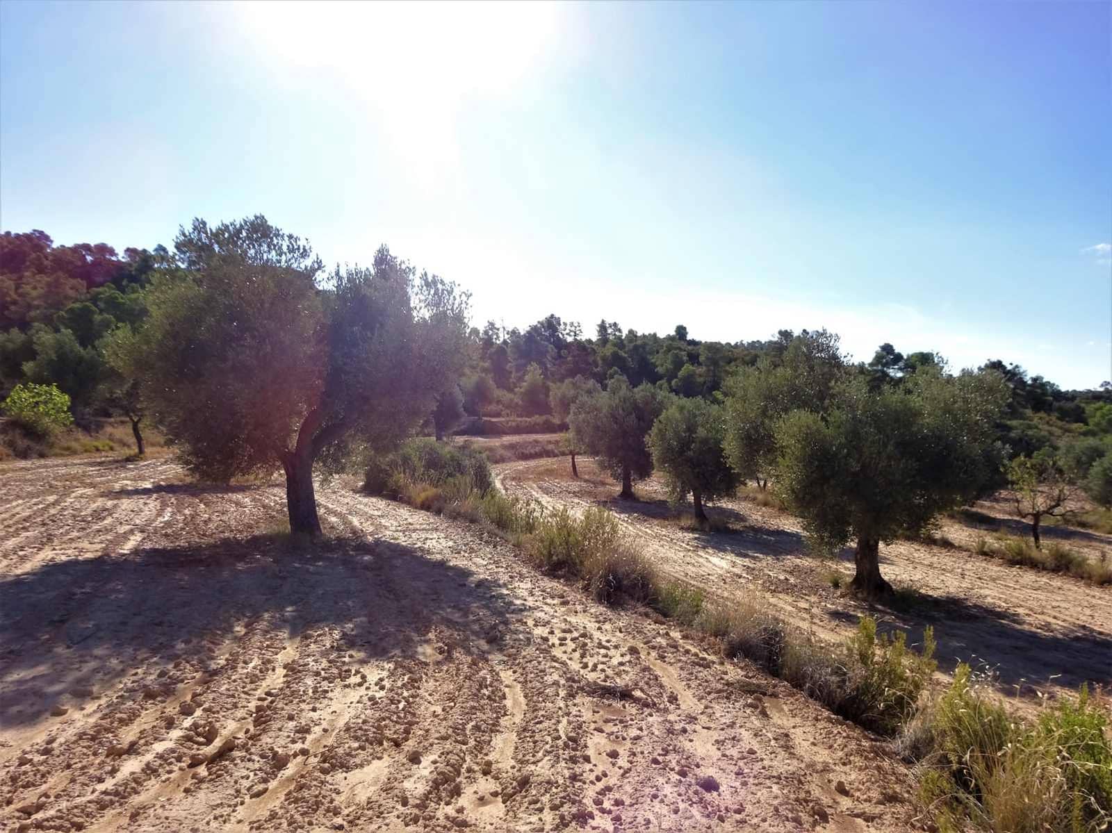 Finca/Landehus til salg i Caspe - € 20.000 (Ref: 9763460)