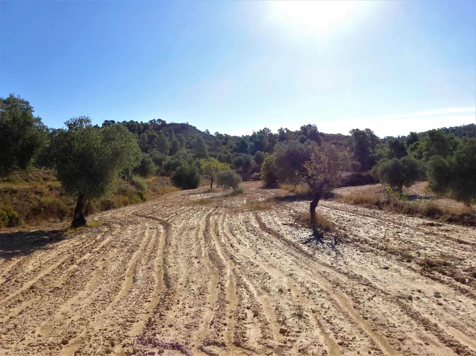 Finca/Landehus til salg i Caspe - € 20.000 (Ref: 9763460)