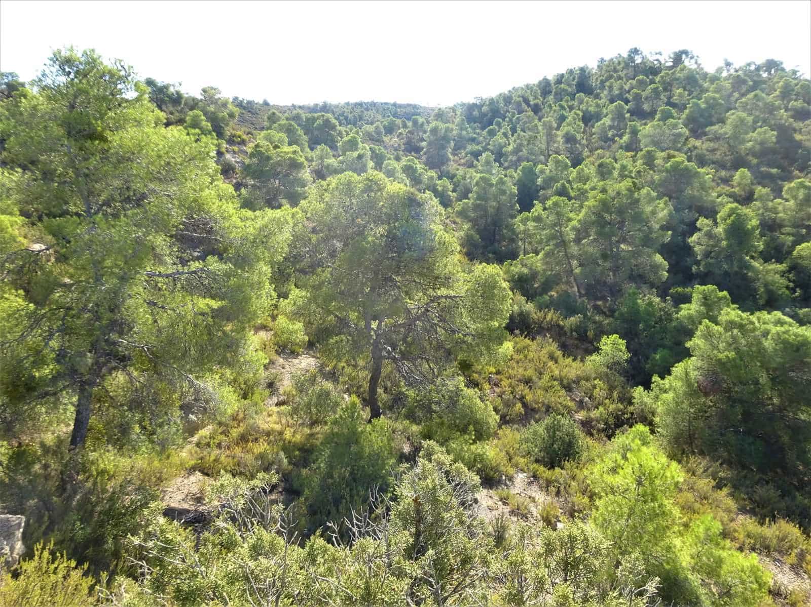 Finca/Landehus til salg i Caspe - € 20.000 (Ref: 9763460)