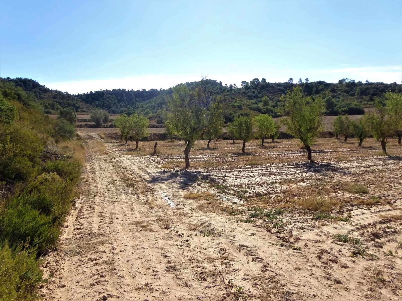 Finca/Landehus til salg i Caspe - € 20.000 (Ref: 9763460)
