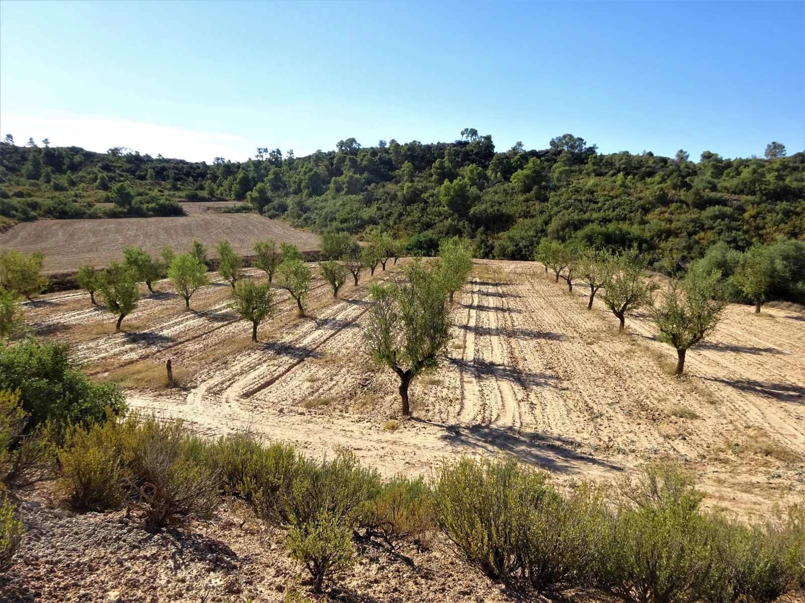Finca/Landehus til salg i Caspe - € 20.000 (Ref: 9763460)