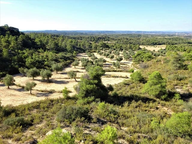 Finca/Landehus til salg i Caspe - € 20.000 (Ref: 9763460)