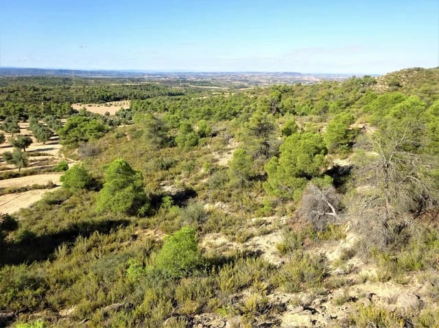 Finca/Landehus til salg i Caspe - € 20.000 (Ref: 9763460)