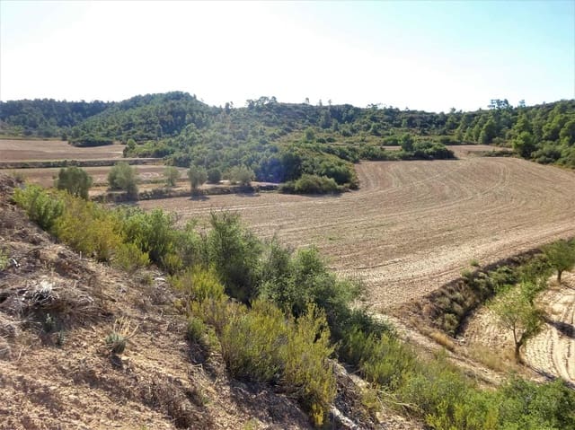 Finca/Landehus til salg i Caspe - € 20.000 (Ref: 9763460)