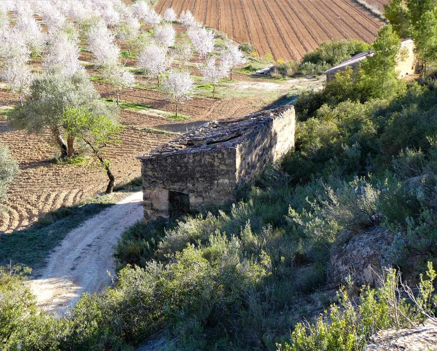 Quinta/Casa Rural para venda em Batea - 14 000 € (Ref: 9824026)