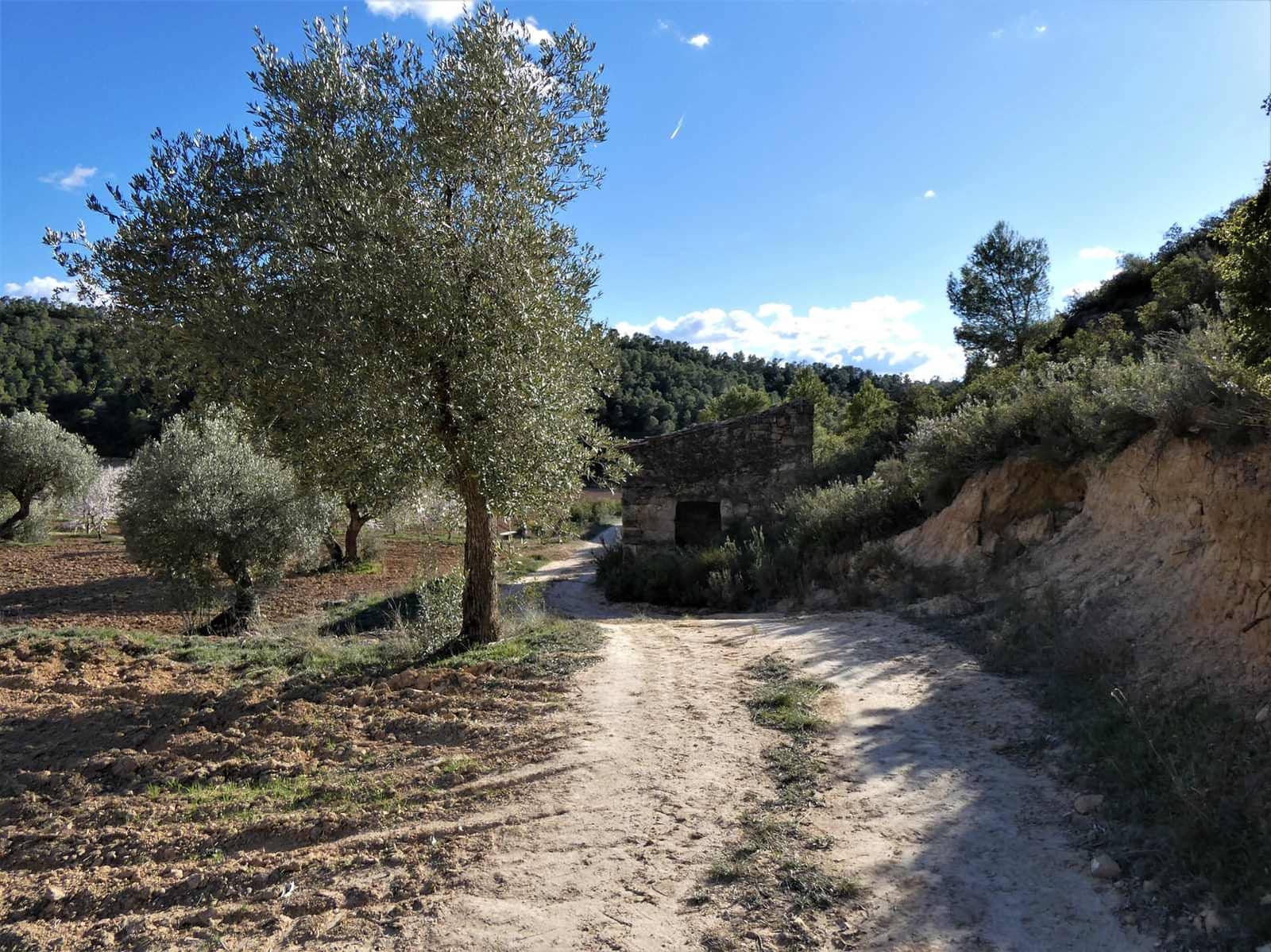 Quinta/Casa Rural para venda em Batea - 14 000 € (Ref: 9824026)