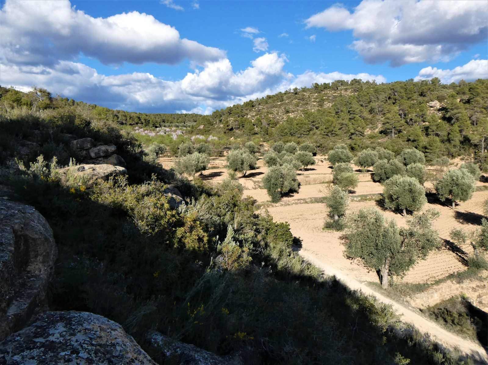 Quinta/Casa Rural para venda em Batea - 14 000 € (Ref: 9824026)