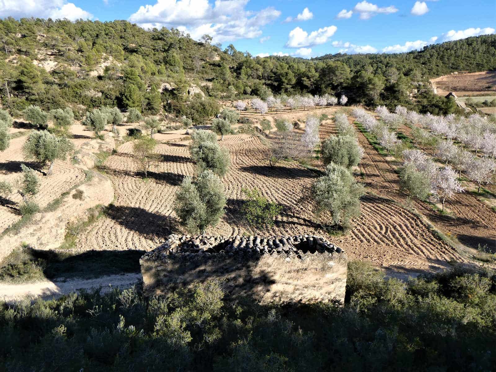 Quinta/Casa Rural para venda em Batea - 14 000 € (Ref: 9824026)