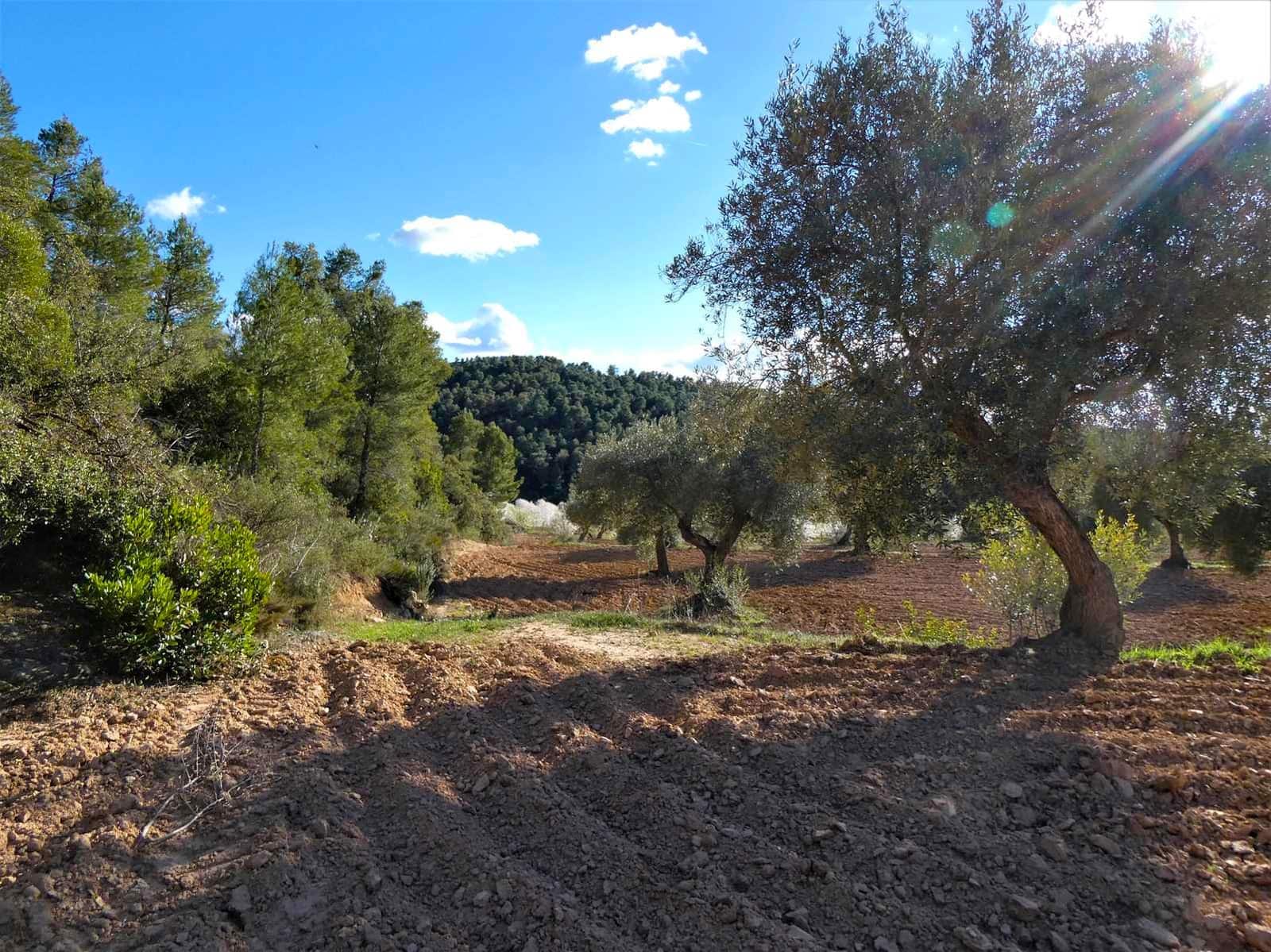 Quinta/Casa Rural para venda em Batea - 14 000 € (Ref: 9824026)