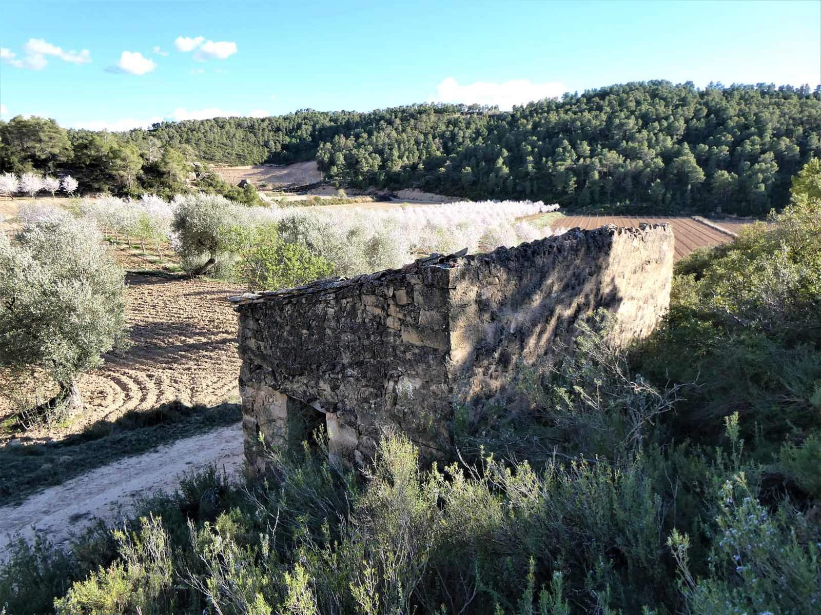 Quinta/Casa Rural para venda em Batea - 14 000 € (Ref: 9824026)