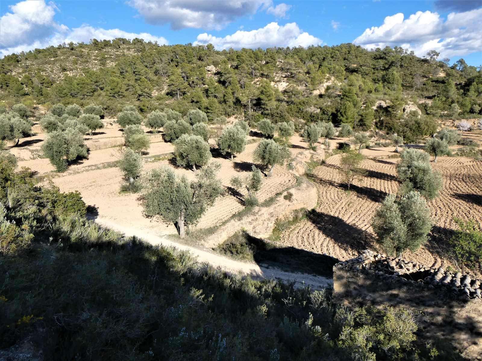 Quinta/Casa Rural para venda em Batea - 14 000 € (Ref: 9824026)
