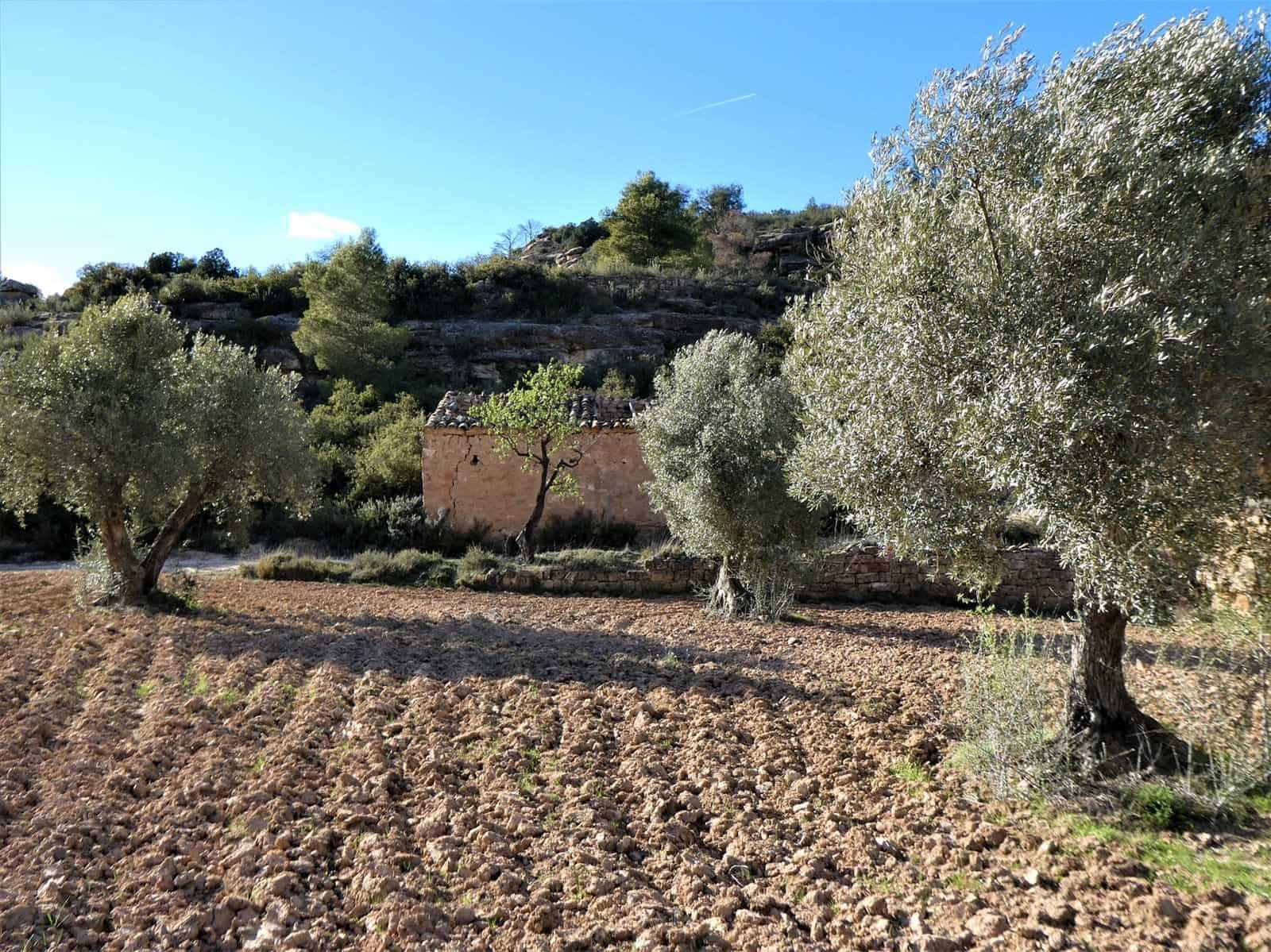 Quinta/Casa Rural para venda em Batea - 14 000 € (Ref: 9824026)
