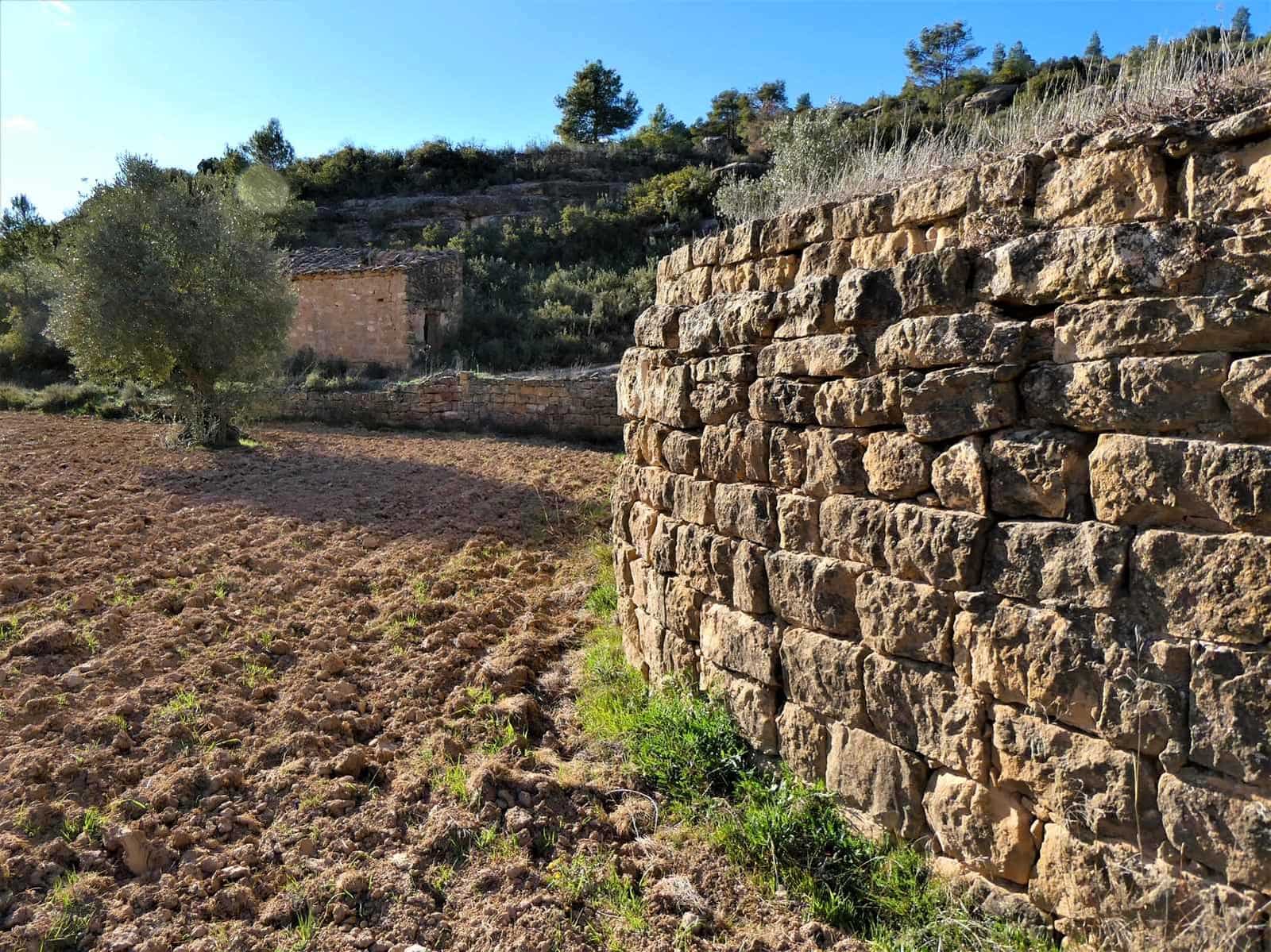 Quinta/Casa Rural para venda em Batea - 14 000 € (Ref: 9824026)