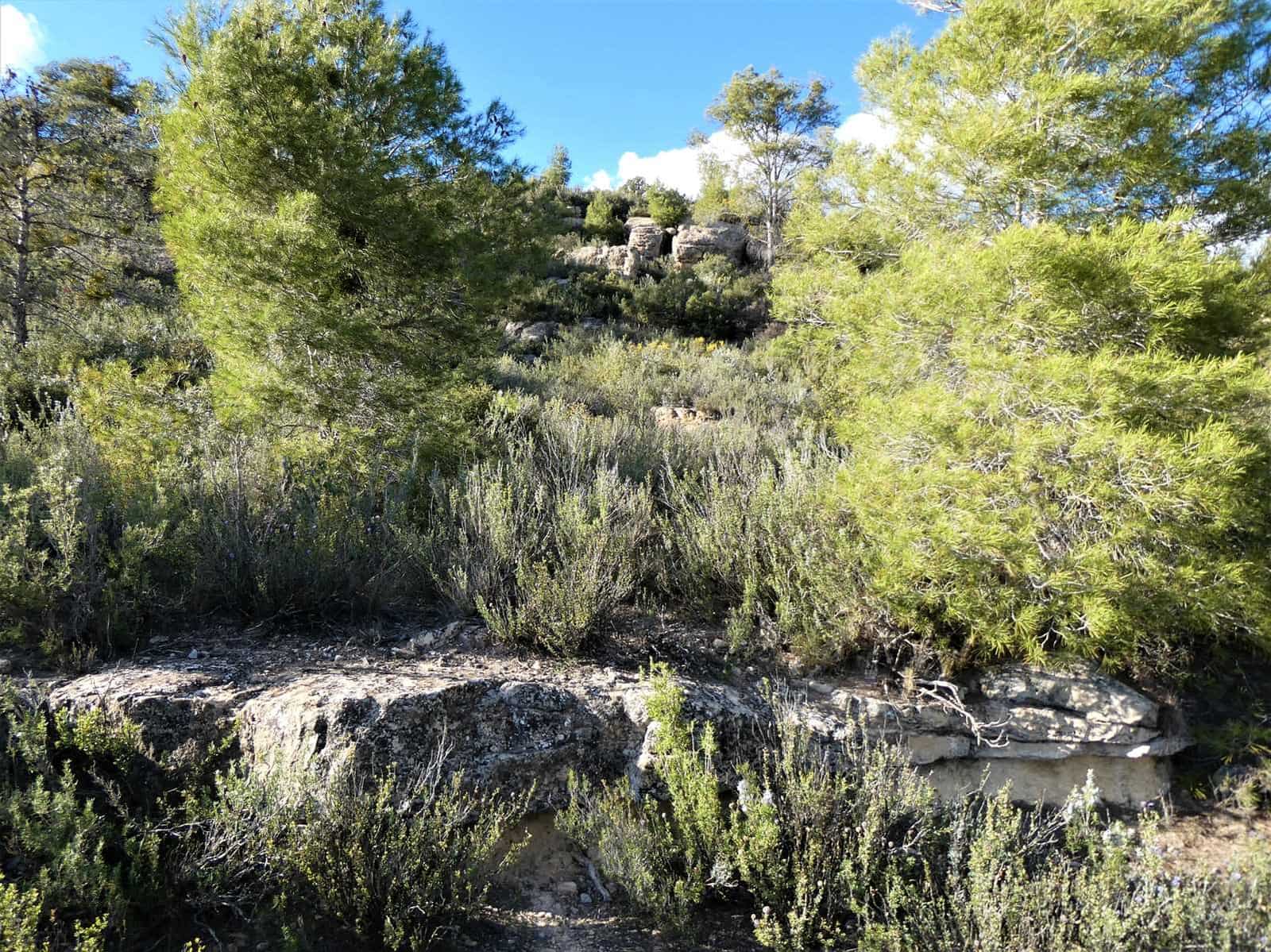 Quinta/Casa Rural para venda em Batea - 14 000 € (Ref: 9824026)