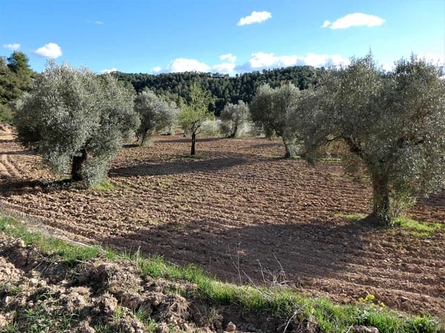 Quinta/Casa Rural para venda em Batea - 14 000 € (Ref: 9824026)