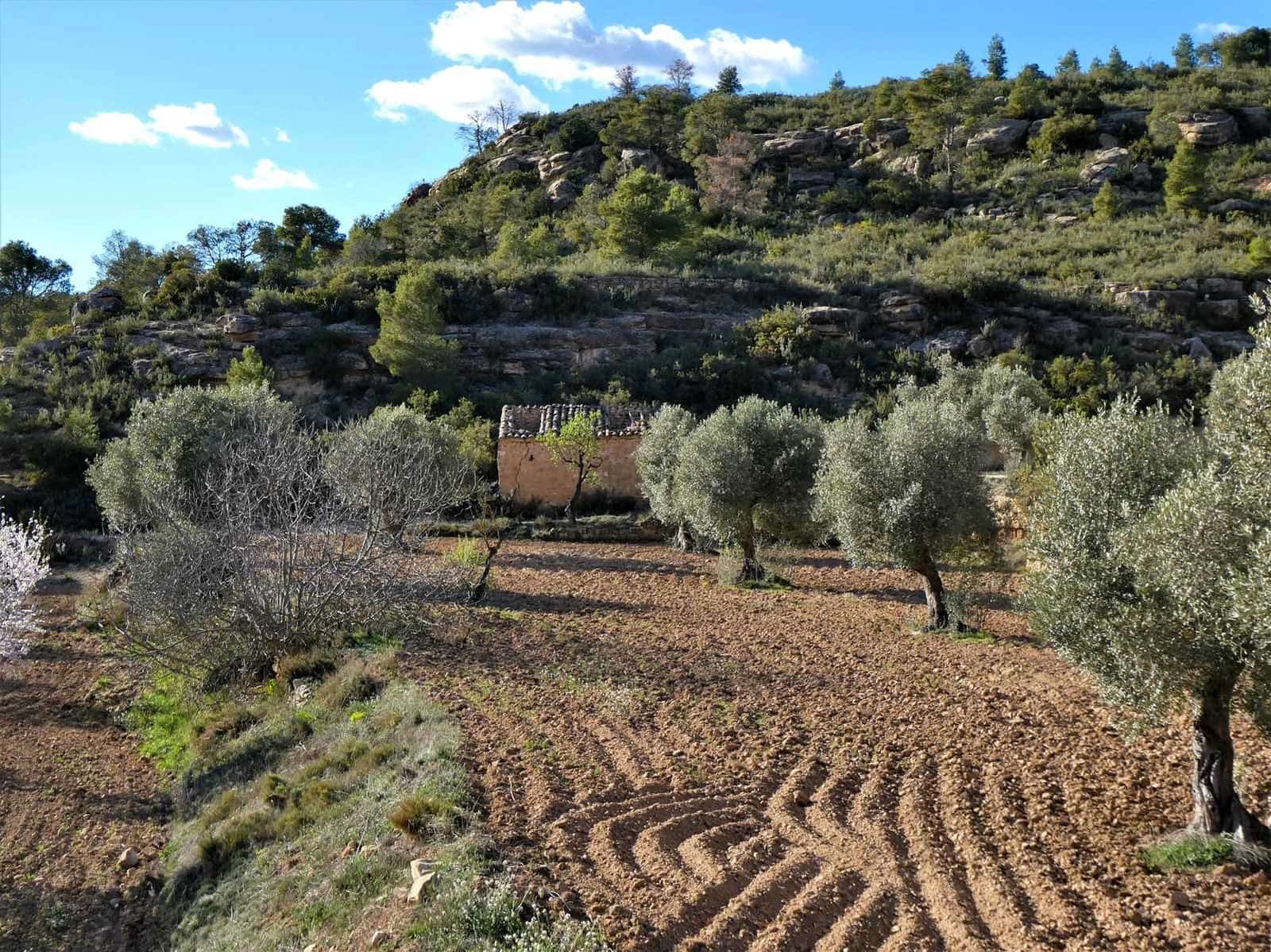 Quinta/Casa Rural para venda em Batea - 14 000 € (Ref: 9824026)