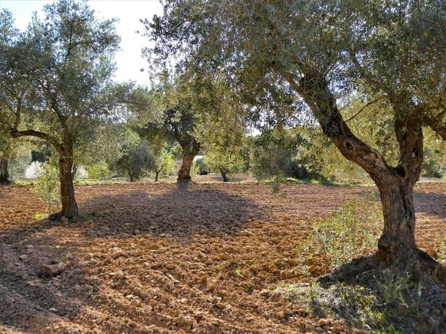Quinta/Casa Rural para venda em Batea - 14 000 € (Ref: 9824026)
