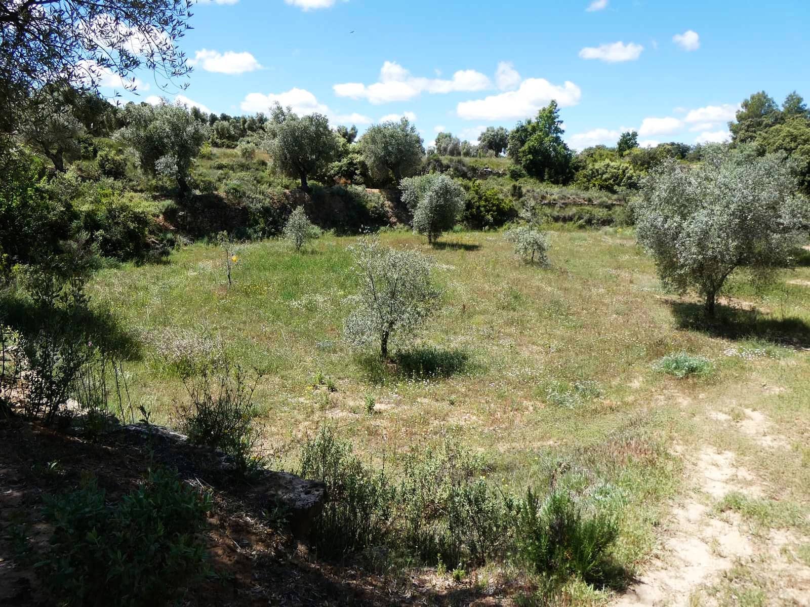 Finca/Country House for sale in Calaceite - € 34,000 (Ref: 9826100)