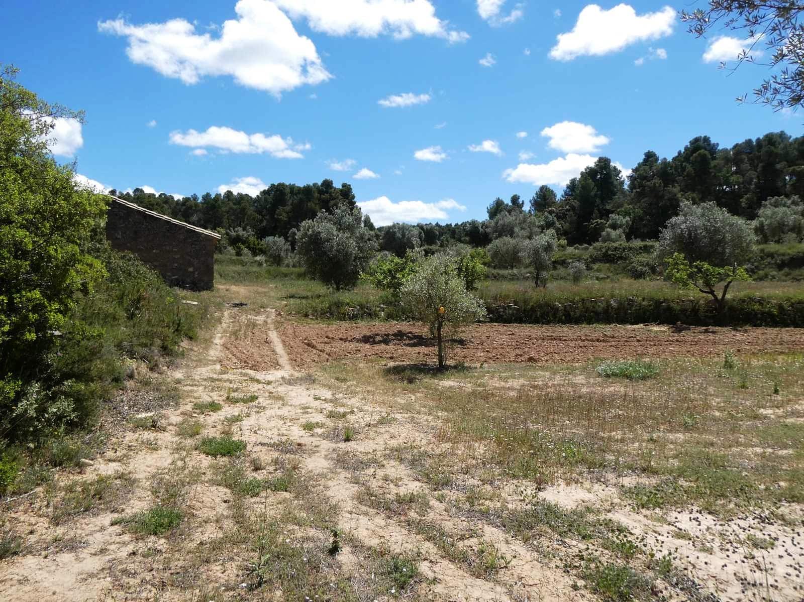 Finca/Country House for sale in Calaceite - € 34,000 (Ref: 9826100)