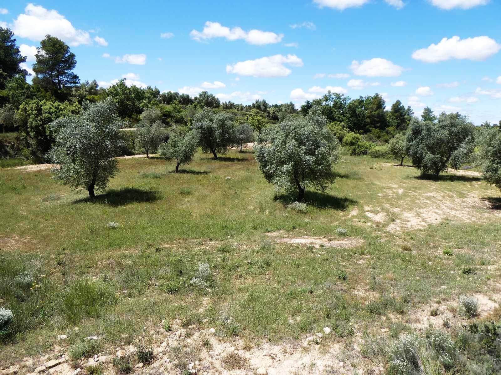 Finca/Country House for sale in Calaceite - € 34,000 (Ref: 9826100)