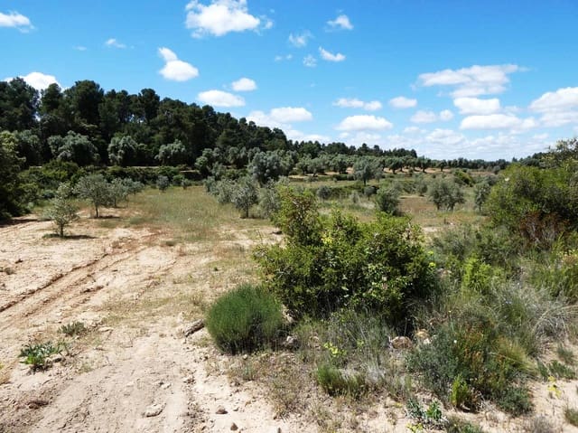 Finca/Maison de Campagne à vendre à Calaceite - 34 000 € (Ref: 9826100)