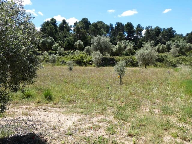 Finca/Maison de Campagne à vendre à Calaceite - 34 000 € (Ref: 9826100)