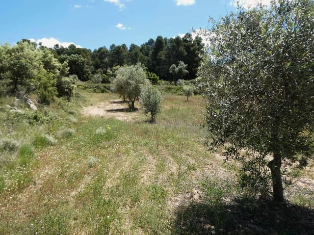 Finka/Dom wiejski na sprzedaż w Calaceite - 34 000 € (Ref: 9826100)