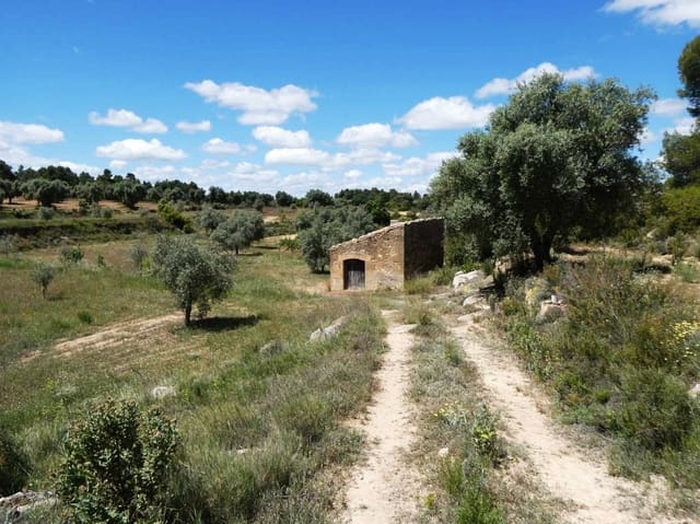 Finka/Dom wiejski na sprzedaż w Calaceite - 34 000 € (Ref: 9826100)