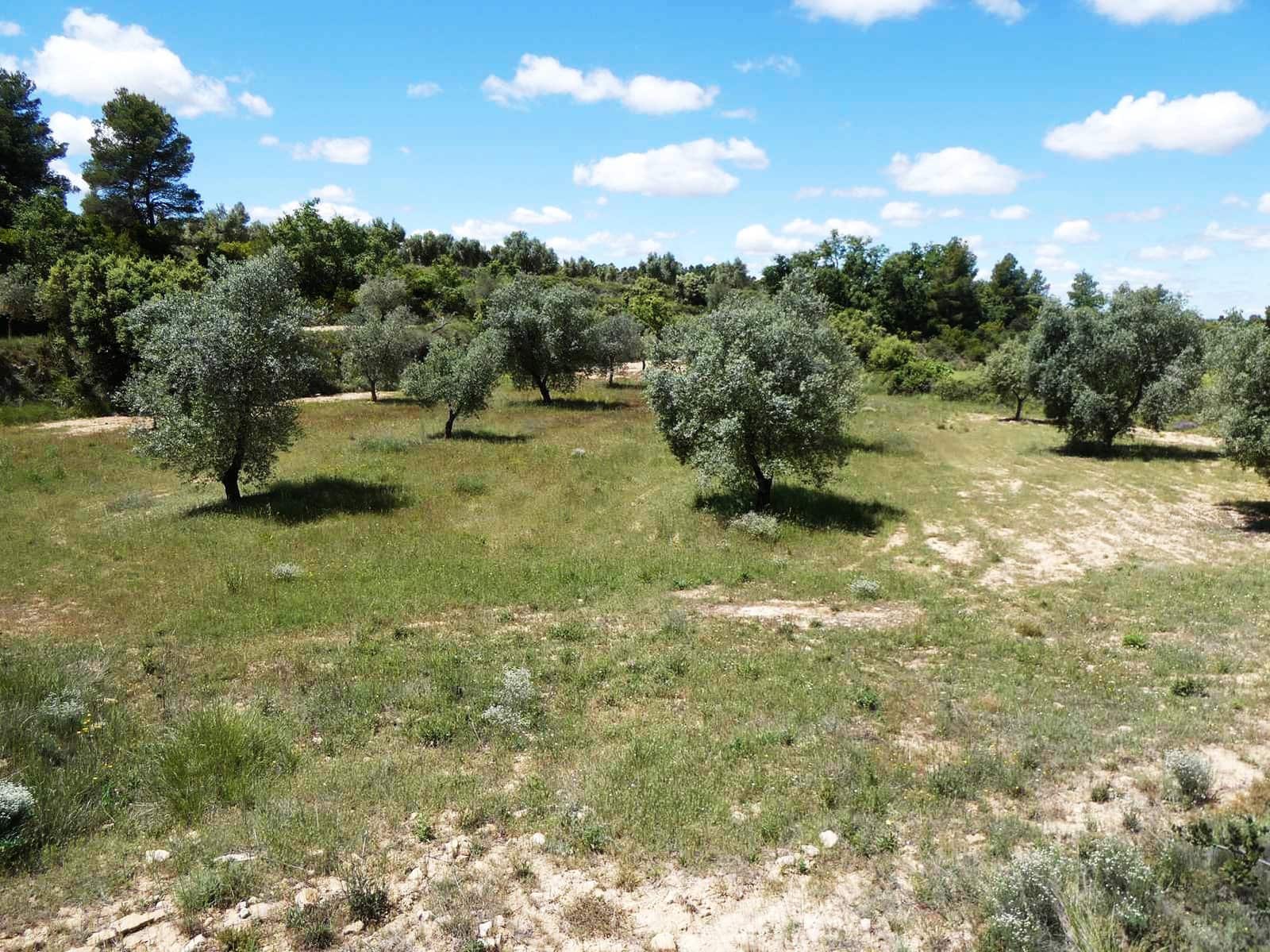 Finka/Dom wiejski na sprzedaż w Calaceite - 34 000 € (Ref: 9826100)