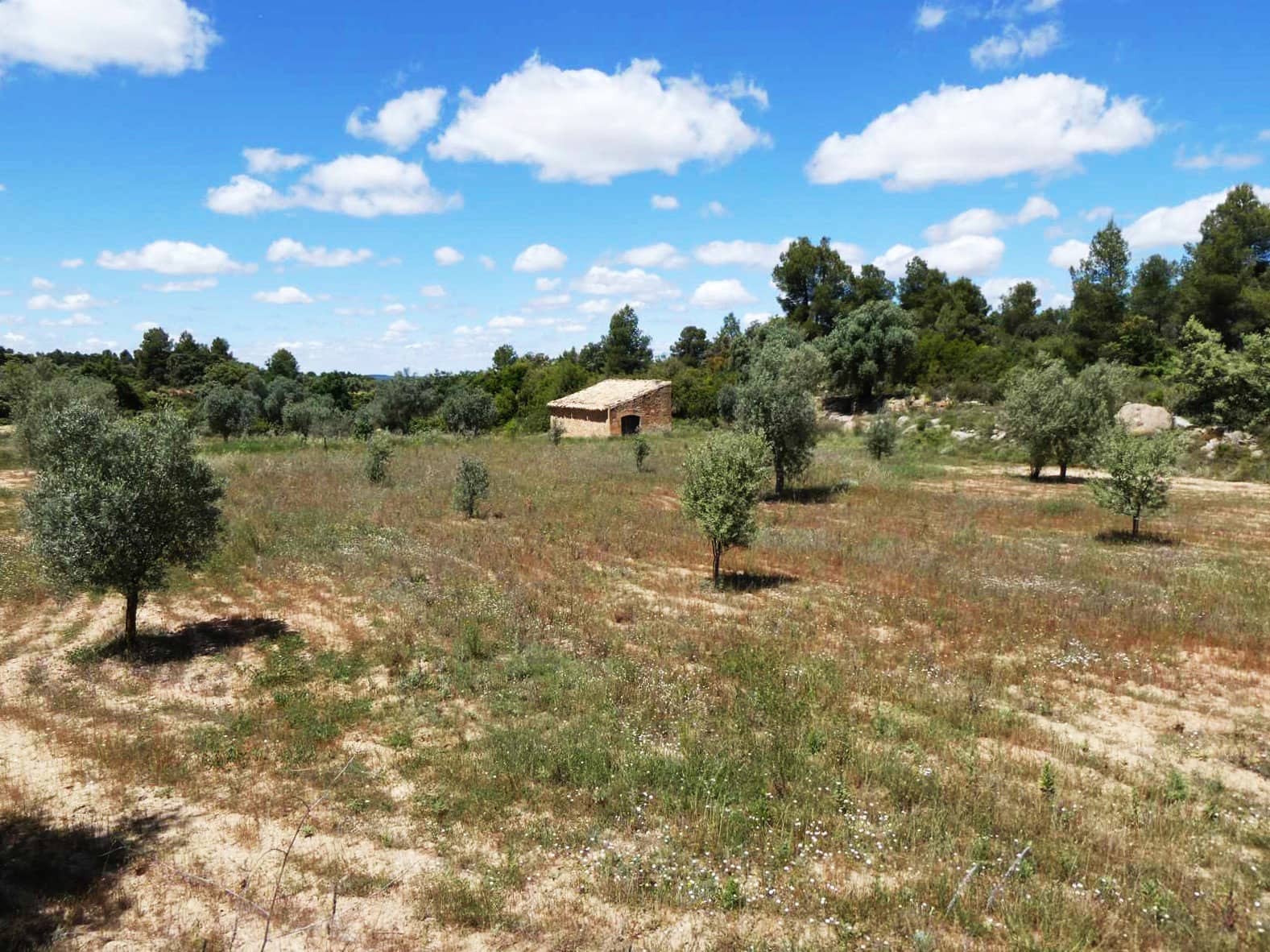 Finka/Dom wiejski na sprzedaż w Calaceite - 34 000 € (Ref: 9826100)