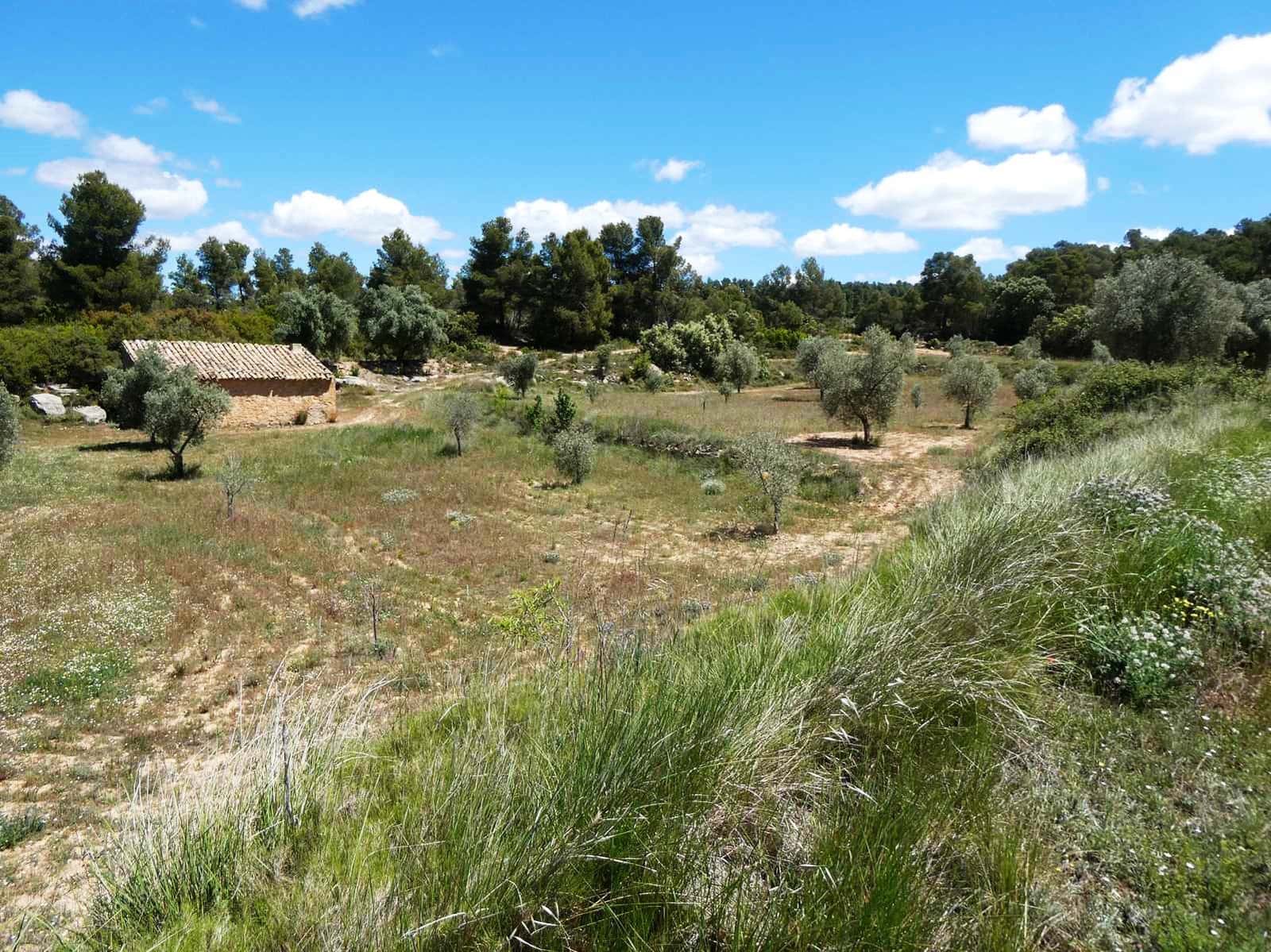 Finka/Dom wiejski na sprzedaż w Calaceite - 34 000 € (Ref: 9826100)